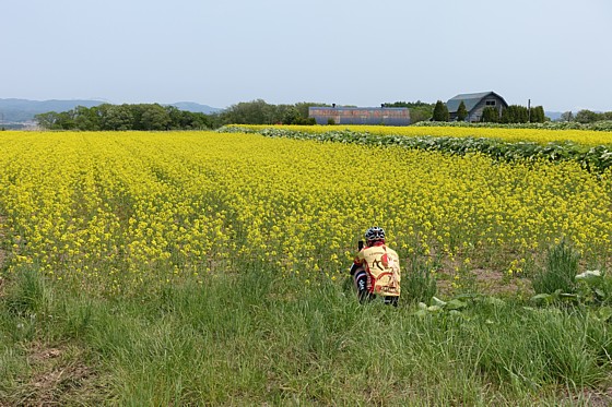 DSC00513a