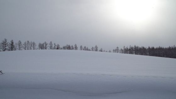201301200923