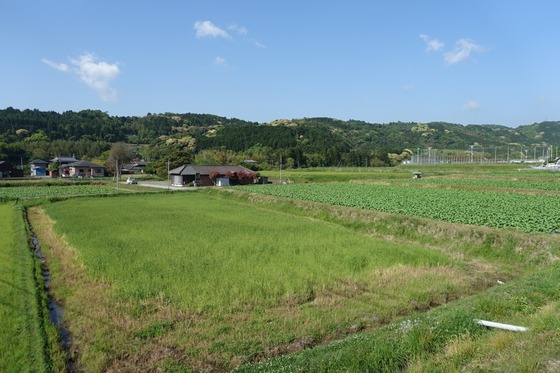 DSC00471a