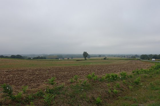 DSC01135