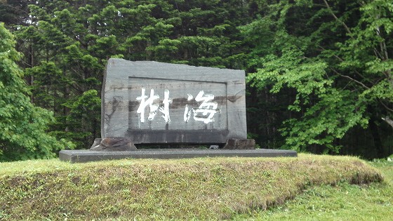 201206231158