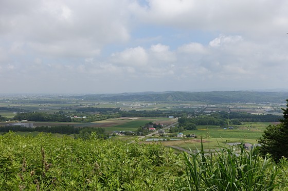 DSC00588