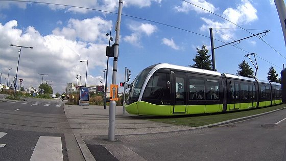 262