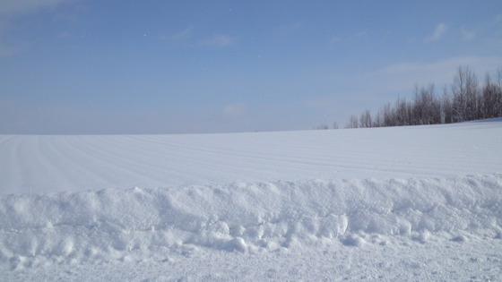 201301201000