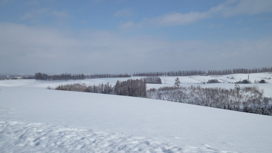 201301201011