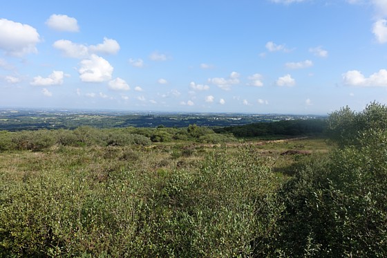 DSC01169