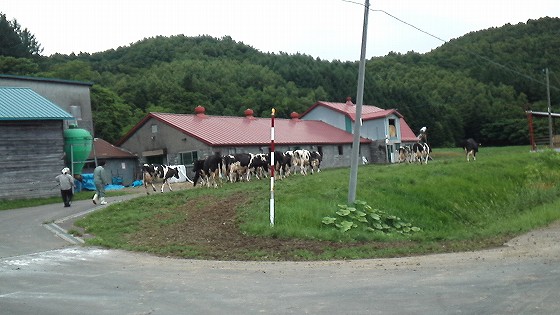 201208061717