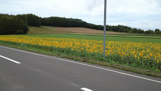 201208101330
