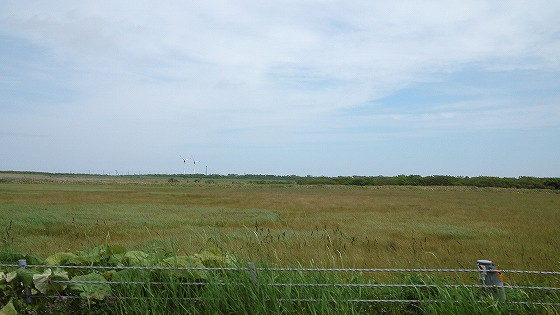 201307061053