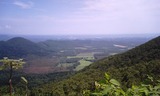 201008141146a