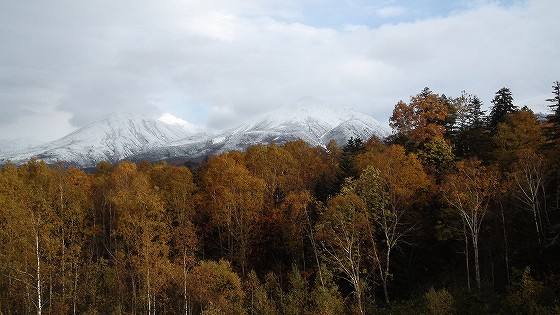 201210201436