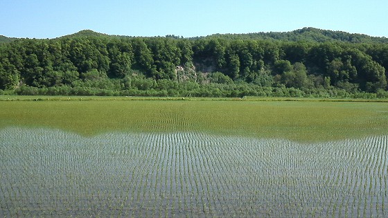 201306091434