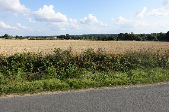 DSC01152