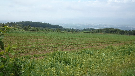 201207161430