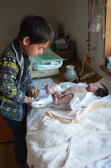DSC_0782