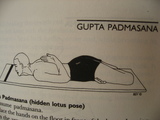 guputa padmasana