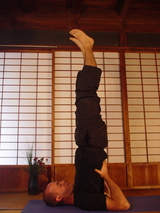 sarvangasana