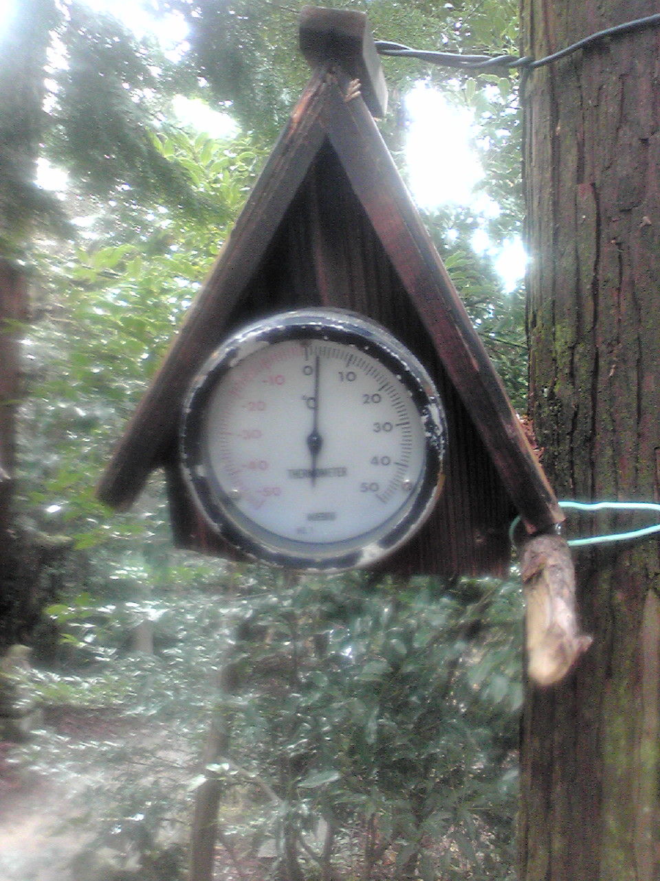 大麻山温度計