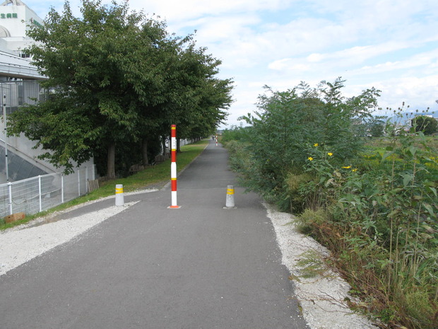 IMG_0015 (2)