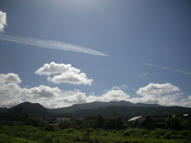DSCN3770