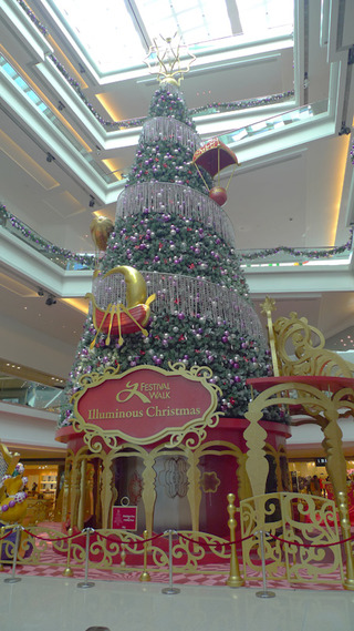 fw_tree_2010_01