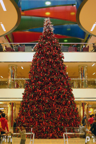 cityplaze_christmas_2010_01