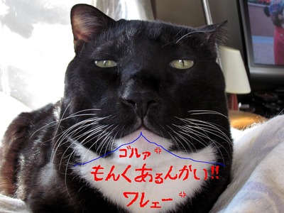 �֡��ݤ��饴�륡��