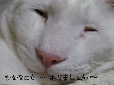 �����ʤˤ⤢��ޤ�����