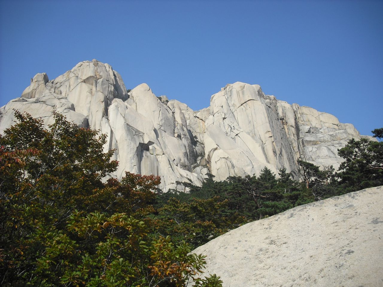 DSCF0088
