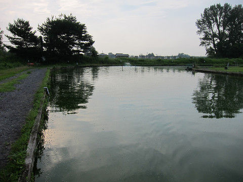 resize14216