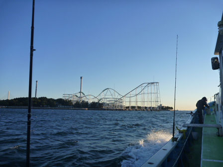 resize21865