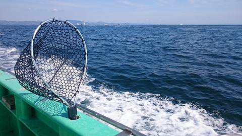 resize8429