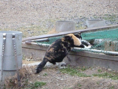 resize16131