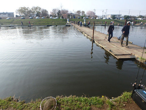 resize6305