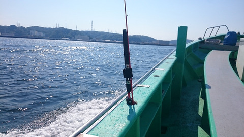 resize8430