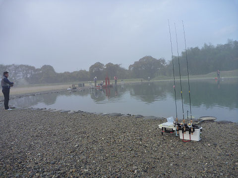 resize11808