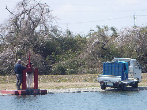 resize9764