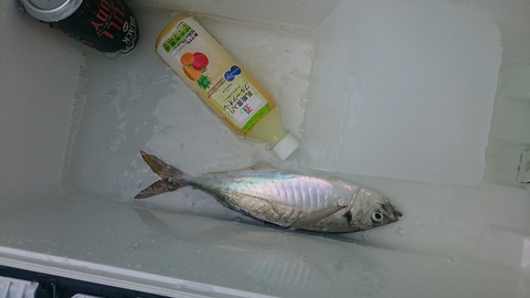 resize8416