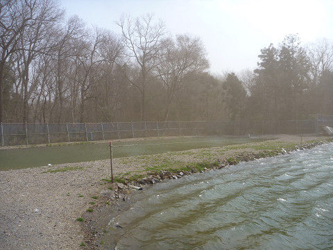resize16185