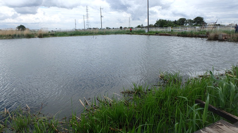 resize3991