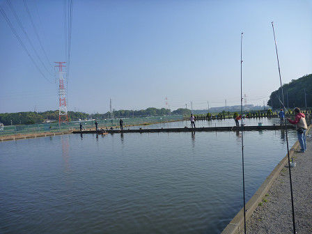 resize16962