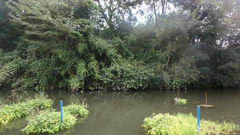 resize2323
