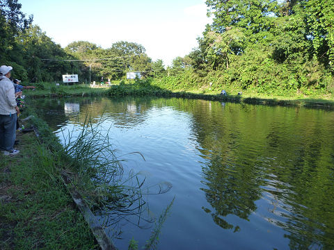 resize11447