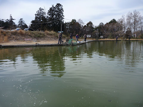 resize12578