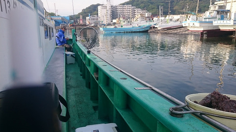 resize8411