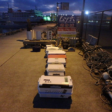 resize5349
