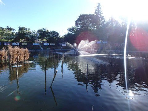 resize6620