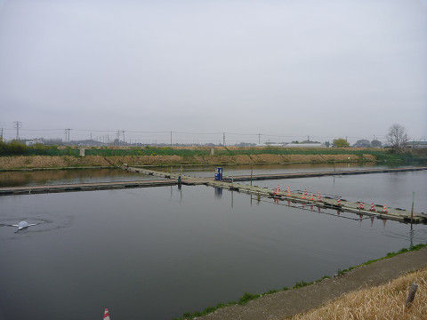 resize12934