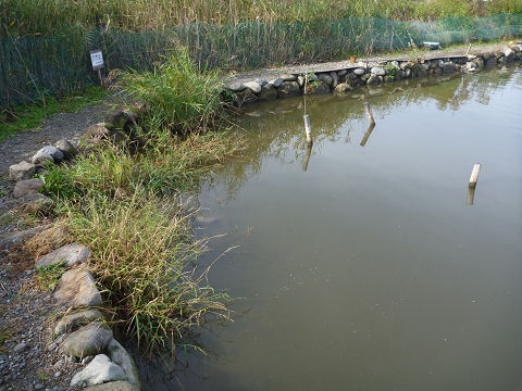 resize11512