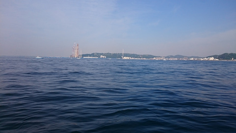 resize8417